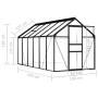 Anthracite grey aluminum greenhouse 7.03 m² by vidaXL, Greenhouses - Ref: Foro24-48212, Price: 339,54 €, Discount: %