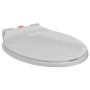 Toilet seat soft close quick release oval light gray by vidaXL, Toilet and bidet seats - Ref: Foro24-145815, Price: 31,07 €, ...