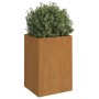 Jardinera de acero corten 42x38x75 cm de vidaXL, Maceteros y jardineras - Ref: Foro24-821554, Precio: 67,99 €, Descuento: %