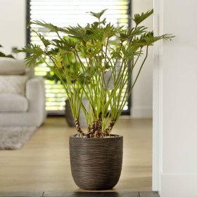 Capi Planter Nature Rib dark brown 43x41 cm by Capi, Pots and planters - Ref: Foro24-434840, Price: 86,99 €, Discount: %