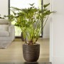 Capi Planter Nature Rib dark brown 43x41 cm by Capi, Pots and planters - Ref: Foro24-434840, Price: 79,71 €, Discount: %