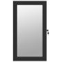 Mirror with jewelry box and LED lights for black wall by vidaXL, Mirrors - Ref: Foro24-353230, Price: 83,15 €, Discount: %