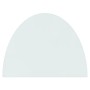 Semicircular glass plate for fireplace 800x600 mm by vidaXL, Glass - Ref: Foro24-324110, Price: 46,78 €, Discount: %