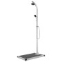 Garden shower with gray base 220 cm aluminum by vidaXL, Pool and spa accessories - Ref: Foro24-3070786, Price: 258,99 €, Disc...