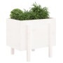 Jardinera de madera maciza de pino blanco 62x50x57 cm de vidaXL, Maceteros y jardineras - Ref: Foro24-825206, Precio: 56,99 €...