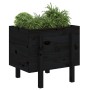 Solid black pine wood planter 62x50x57 cm by vidaXL, Pots and planters - Ref: Foro24-825209, Price: 72,81 €, Discount: %