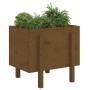 Solid pine wood planter in honey brown color, 62x50x57 cm by vidaXL, Pots and planters - Ref: Foro24-825208, Price: 73,30 €, ...