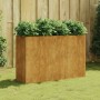 Jardinera acero corten 120x40x80 cm de vidaXL, Maceteros y jardineras - Ref: Foro24-824526, Precio: 123,12 €, Descuento: %