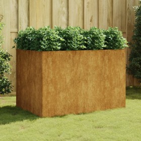 Jardinera acero corten 120x80x80 cm de vidaXL, Maceteros y jardineras - Ref: Foro24-824538, Precio: 127,99 €, Descuento: %