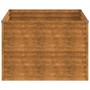 Jardinera de acero corten 100x100x69 cm de vidaXL, Maceteros y jardineras - Ref: Foro24-152002, Precio: 100,97 €, Descuento: %