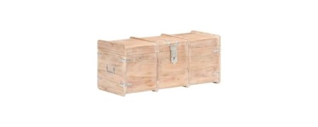 Storage trunks