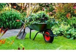 Everything for your garden on Foro24.es: Quality, Variety and Free Shipping