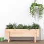 Raised garden bed solid pine wood 101x30x38 cm by vidaXL, Pots and planters - Ref: Foro24-825184, Price: 47,42 €, Discount: %