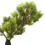 Künstlicher Zypressenbonsai mit Topf 60 cm grün von vidaXL, Künstliche Flora - Ref: Foro24-336320, Preis: 42,46 €, Rabatt: %