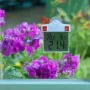 Nature Digitales Fensterthermometer 13x10x3 cm 6080078 von Nature, Vorhersagen und Wetterstationen - Ref: Foro24-409387, Prei...