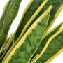 Artificial sansevieria plant with pot 65 cm green by vidaXL, artificial flora - Ref: Foro24-244428, Price: 49,54 €, Discount: %