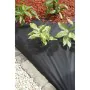 Nature Film cover for soil 1x10 m black 6030228 by Nature, anti-weed meshes - Ref: Foro24-419726, Price: 21,04 €, Discount: %