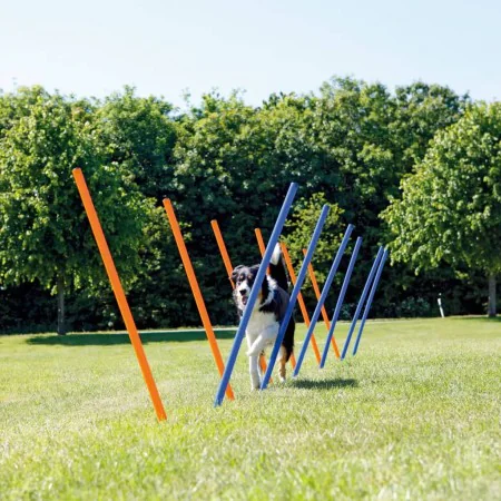 TRIXIE Agility slalom poles 12 pcs 115 cm plastic 3206 by , Pet Exercise Equipment - Ref: Foro24-408529, Price: 54,09 €, Disc...