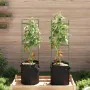 Support for tomatoes with 2 steel and PP bags, 116 cm. by , Pot stands - Ref: Foro24-4009284, Price: 25,16 €, Discount: %