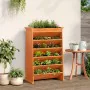 Planter herb 6 levels solid wood brown 69x40x101.5 cm by , Pots and planters - Ref: Foro24-855055, Price: 132,41 €, Discount: %