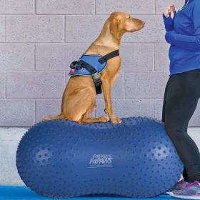 FitPAWS Trax Peanut Pet Balance Plattform Blau 60 cm von FitPAWS, Trainingsgeräte für Haustiere - Ref: Foro24-433836, Preis: ...