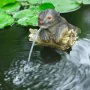 Ubbink Garden fountain with a jet in the shape of an otter by Ubbink, Fountains and waterfalls - Ref: Foro24-442057, Price: 4...